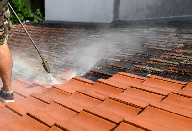 Best Concrete Pressure Washing  in Quartzsite, AZ