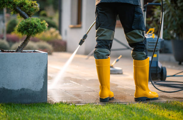 Best Roof Pressure Washing  in Quartzsite, AZ